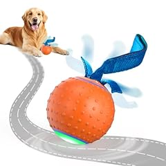 Pubialo jouets interactifs d'occasion  Livré partout en France