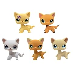 Cat pack dog for sale  Delivered anywhere in USA 