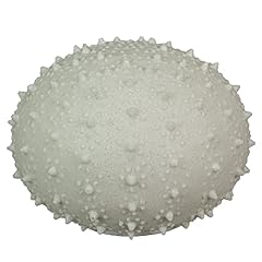 Things2die4 8.5 inch for sale  Delivered anywhere in USA 
