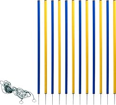 Dobar 50807 agility usato  Spedito ovunque in Italia 