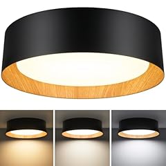 Flush mount ceiling for sale  Delivered anywhere in USA 