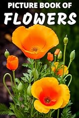 Picture book flowers for sale  Delivered anywhere in USA 