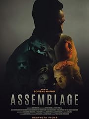 Assemblage usato  Spedito ovunque in Italia 