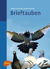 Brieftauben gebraucht kaufen  Wird an jeden Ort in Deutschland