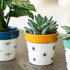 Ivyline pflanzgefäß keramik gebraucht kaufen  Wird an jeden Ort in Deutschland