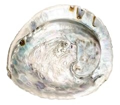 Nadeco abalone schnecke gebraucht kaufen  Wird an jeden Ort in Deutschland