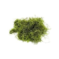 Java moss 4x6 for sale  Delivered anywhere in UK