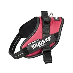Idc powerharness size usato  Spedito ovunque in Italia 