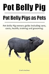 Pot belly pig. for sale  Delivered anywhere in Ireland