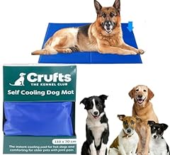 Extra large crufts for sale  Delivered anywhere in UK