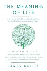 The meaning life d'occasion  Livré partout en Belgiqu