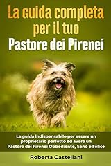 Guida completa per usato  Spedito ovunque in Italia 