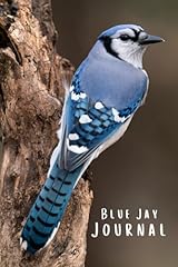 Blue jay journal for sale  Delivered anywhere in UK