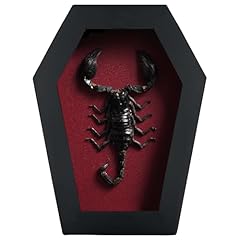 Scorpion coffin frame for sale  Delivered anywhere in USA 