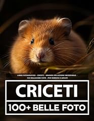 Libro fotografico criceti usato  Spedito ovunque in Italia 