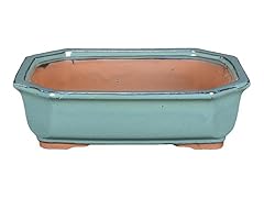 Vaso per bonsai usato  Spedito ovunque in Italia 