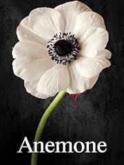 Anemone for sale  Delivered anywhere in UK