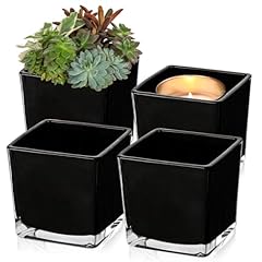 Square glass vase for sale  Delivered anywhere in USA 