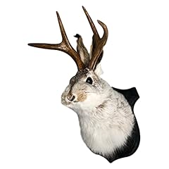 Cascam jackalope wall for sale  Delivered anywhere in USA 