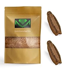 Usmantis carolina praying for sale  Delivered anywhere in UK