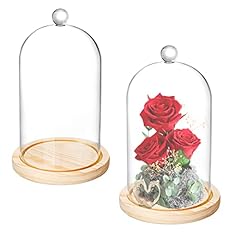 Lyellfe pack glass for sale  Delivered anywhere in USA 