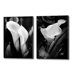 Black white flower for sale  Delivered anywhere in USA 