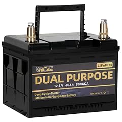 Weize 12v 60ah for sale  Delivered anywhere in USA 