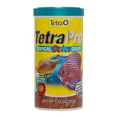 Tetra pro fish for sale  Delivered anywhere in USA 
