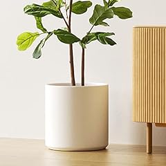 Tauci inch pot for sale  Delivered anywhere in USA 