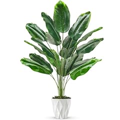 Der rose tall for sale  Delivered anywhere in USA 