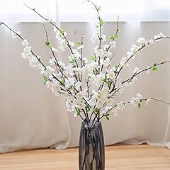 Inspring cherry blossom for sale  Delivered anywhere in USA 