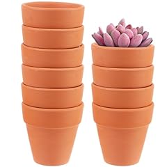 Beautywen 10pcs terracotta for sale  Delivered anywhere in Ireland