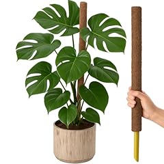Gardenersdream indoor climber for sale  Delivered anywhere in UK