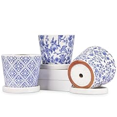 Set decorative plant for sale  Delivered anywhere in USA 