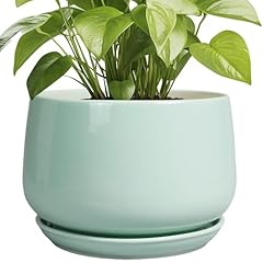 Epgardening ceramic pots for sale  Delivered anywhere in USA 