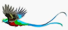 Quetzal decal vinyl for sale  Delivered anywhere in USA 