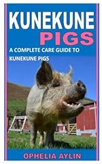 Kunekune pigs complete for sale  Delivered anywhere in USA 