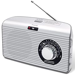 Dreamsky portable radio for sale  Delivered anywhere in USA 