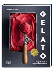 Gelato große eisschule gebraucht kaufen  Wird an jeden Ort in Deutschland