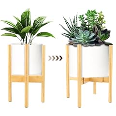 Uyeengy indoor plant for sale  Delivered anywhere in USA 