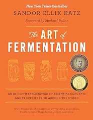 The art fermentation usato  Spedito ovunque in Italia 