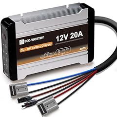 Eco worthy 12v usato  Spedito ovunque in Italia 