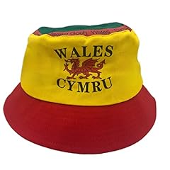 Eboutik wales cymru for sale  Delivered anywhere in UK