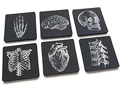 Anatomy black white for sale  Delivered anywhere in USA 