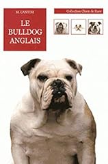 chiot bulldog anglais d'occasion chiot bulldog anglais d'occasion Livré partout en France