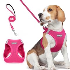 Rabbitgoo dog harness for sale  Delivered anywhere in USA 