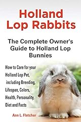 Holland lop rabbits for sale  Delivered anywhere in USA 