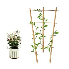 Colotime 3pack bamboo for sale  Delivered anywhere in USA 