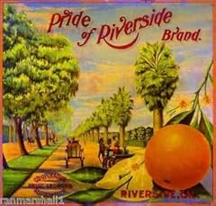 Magnet riverside california for sale  Delivered anywhere in USA 