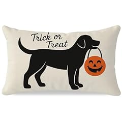 Pandicorn halloween pillow for sale  Delivered anywhere in USA 
